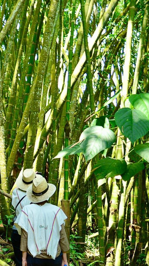 Finca Del Cafe - Casa Typica ซานตาโรซา เดกาบัล ภายนอก รูปภาพ