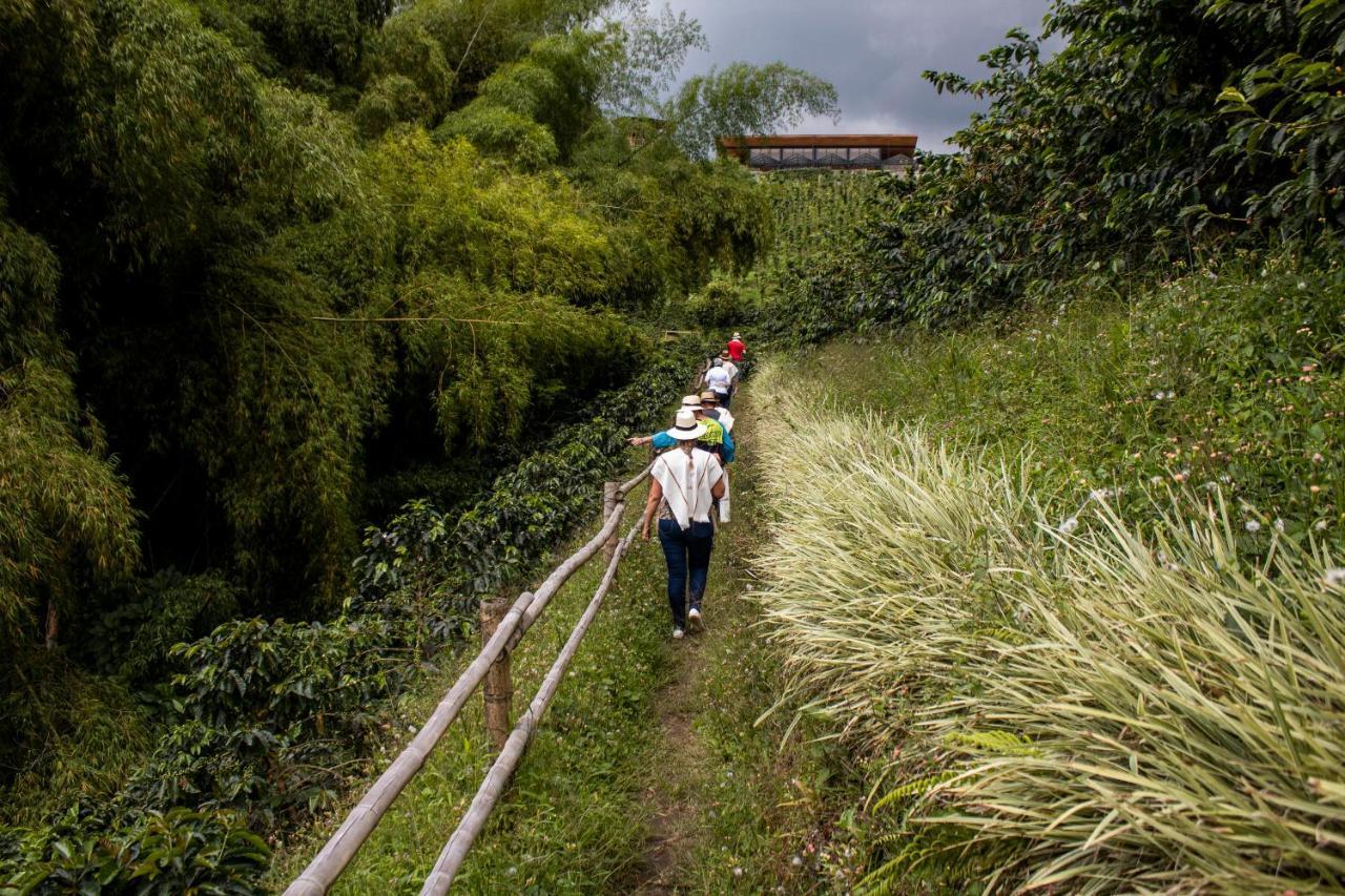 Finca Del Cafe - Casa Typica ซานตาโรซา เดกาบัล ภายนอก รูปภาพ